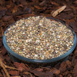 Pellets & Partikel